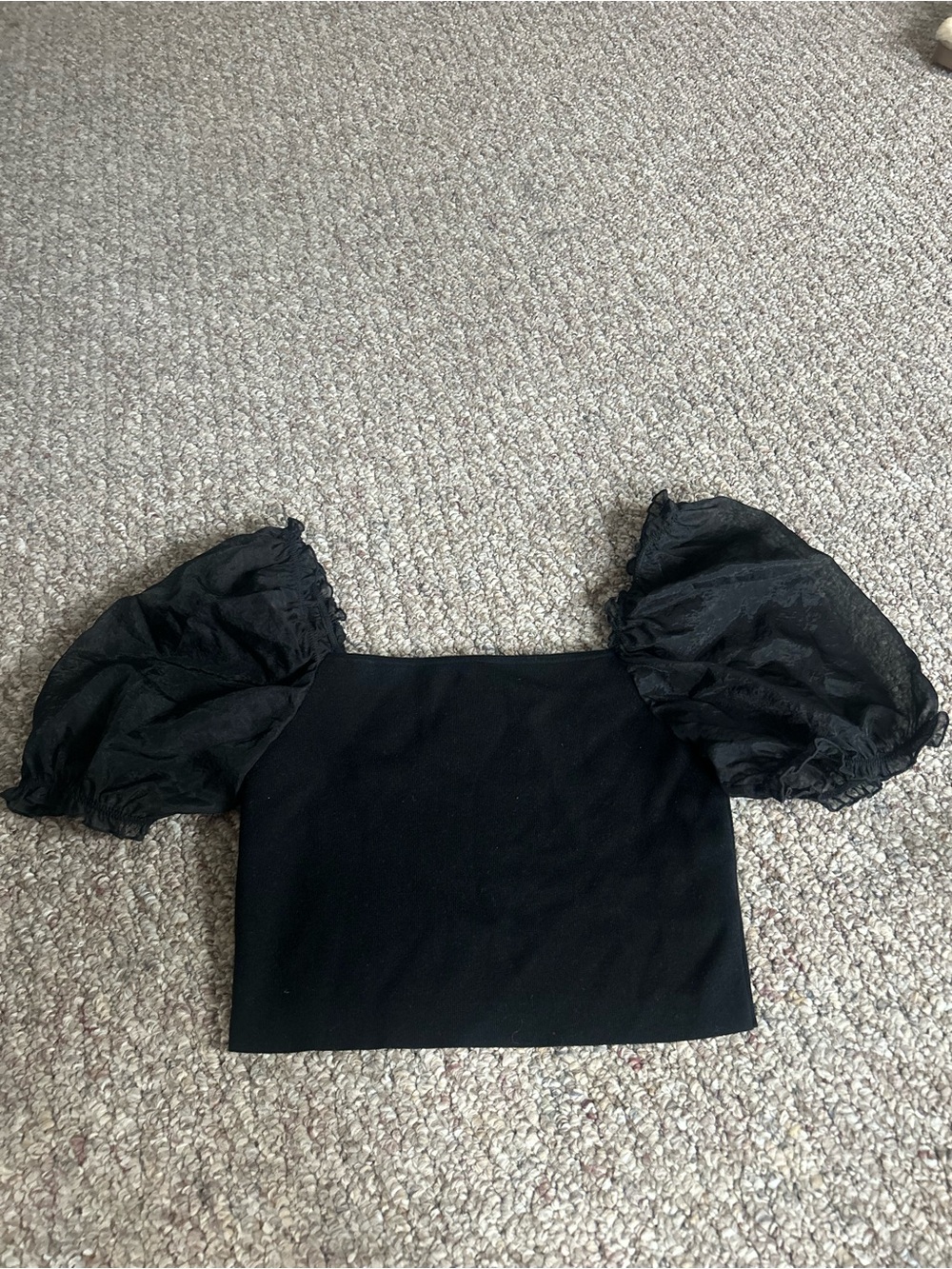 Wilfred by Aritzia Sheer-Sleeve Top